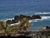 Portugal - Madere - Porto Moniz - 006